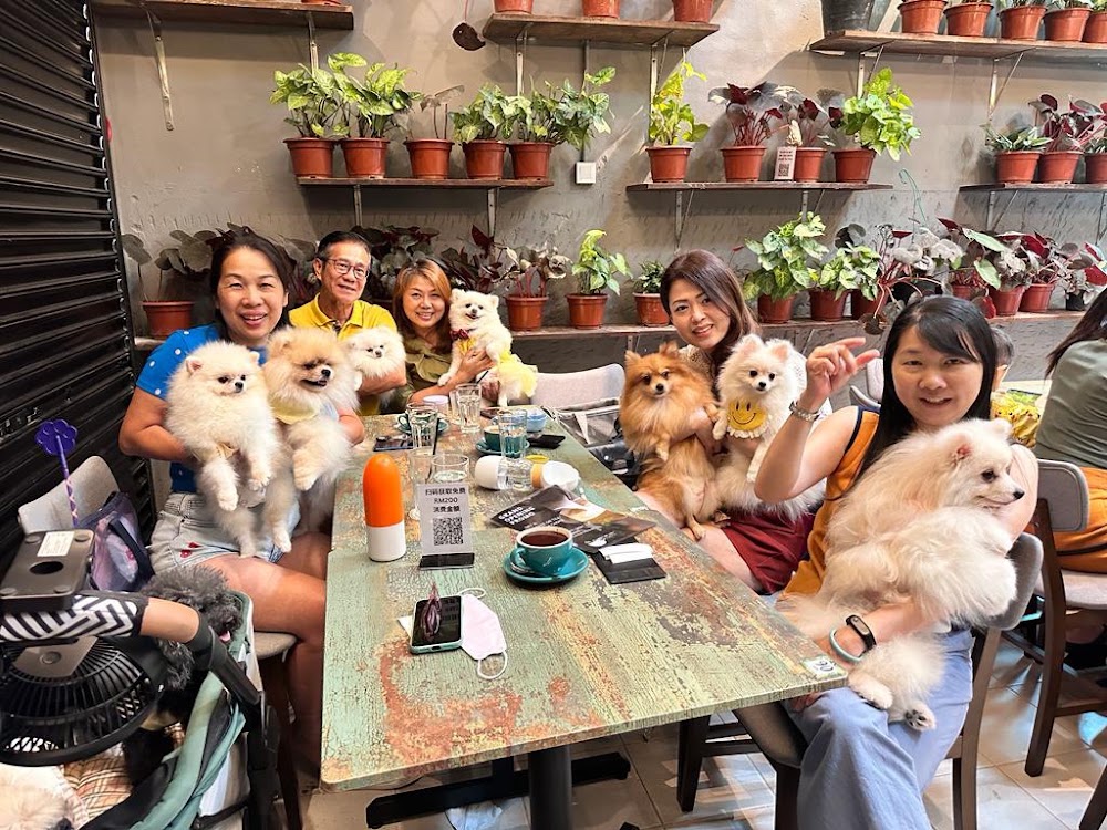 Planty Of Joy Cafe